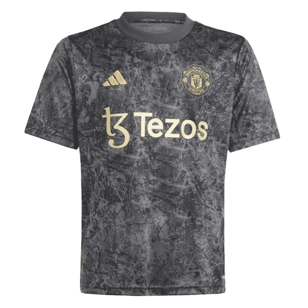 Manchester United Pre Match Soccer Jersey 2023 24 Grey